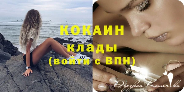 гидра Волосово
