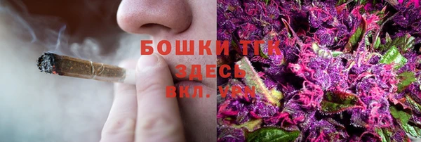 гидра Волосово