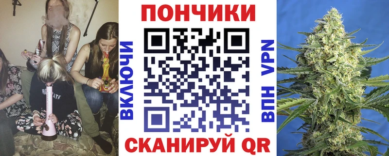 Бошки Шишки сатива  Кизел 